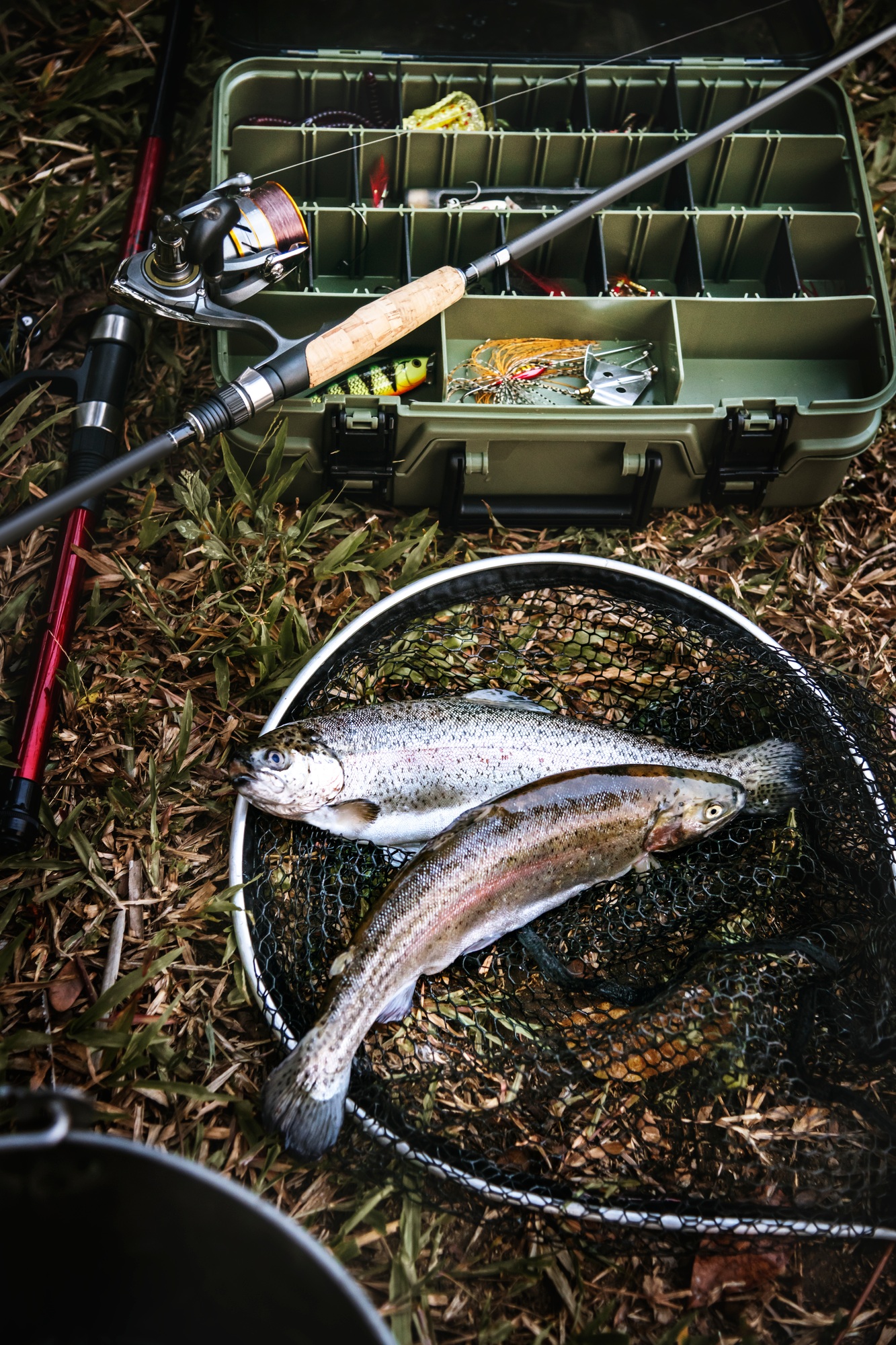 Tackle box and fish on the ground